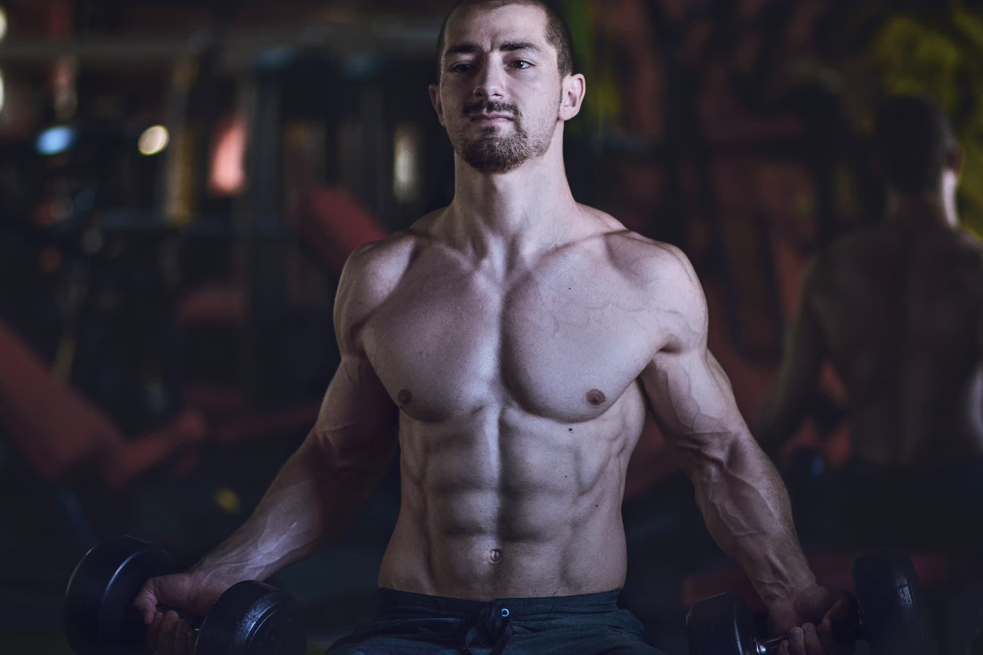 Ali Hamawi standing in a dim gym with a dumbbell in each hand at waist level, shoulders and core engaged, photographed in colour